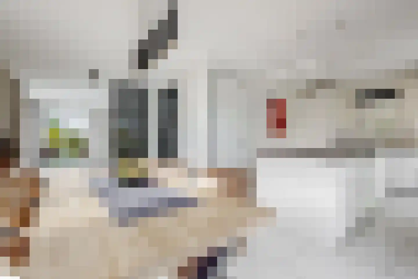 Bloesem 4 Nieuwveen thumbnail 11
