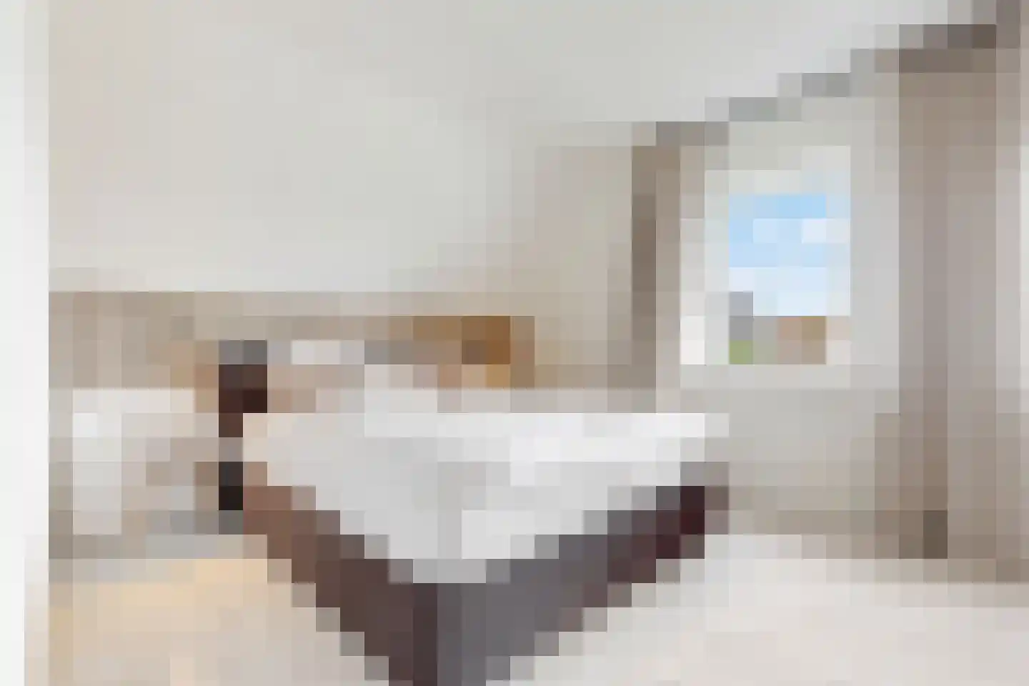 Bloesem 4 Nieuwveen thumbnail 17