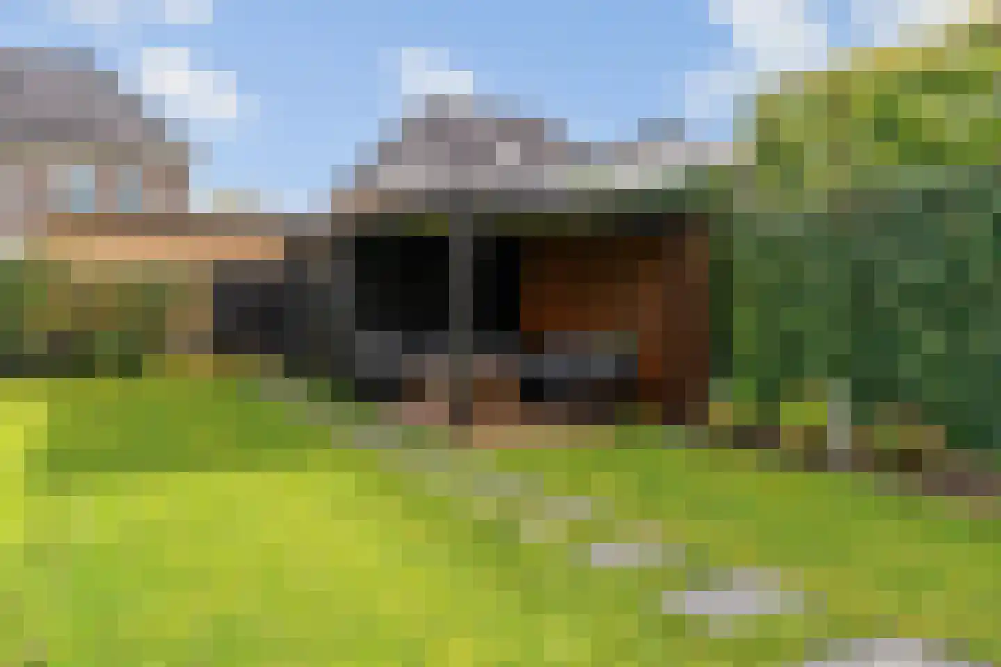 Bloesem 4 Nieuwveen thumbnail 37