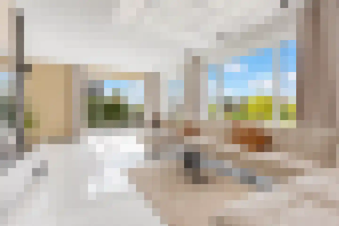 Bloesem 4 Nieuwveen thumbnail 4