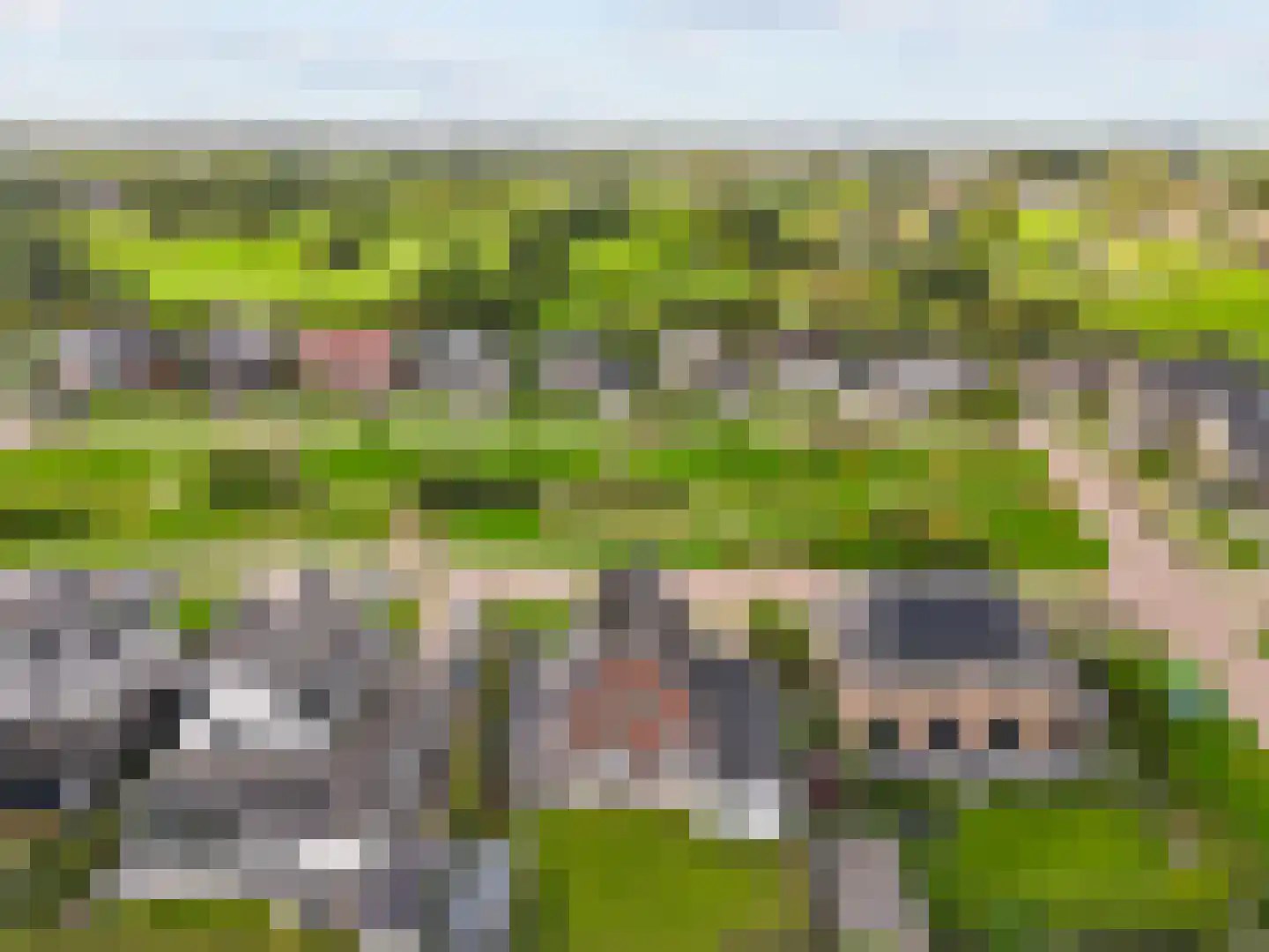 Bloesem 4 Nieuwveen thumbnail 42