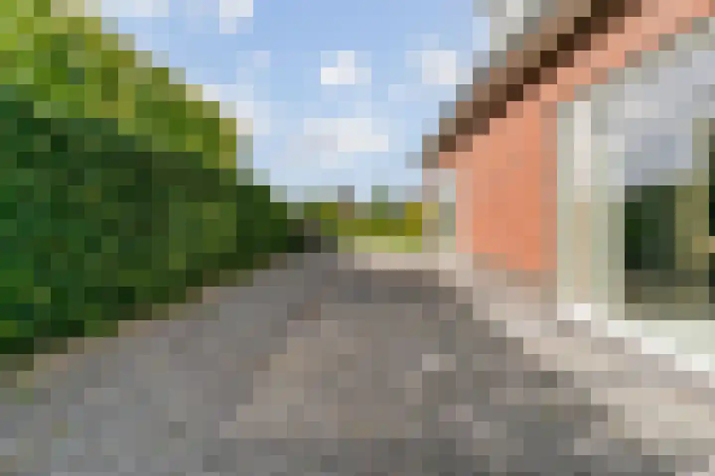 Bloesem 4 Nieuwveen thumbnail 44