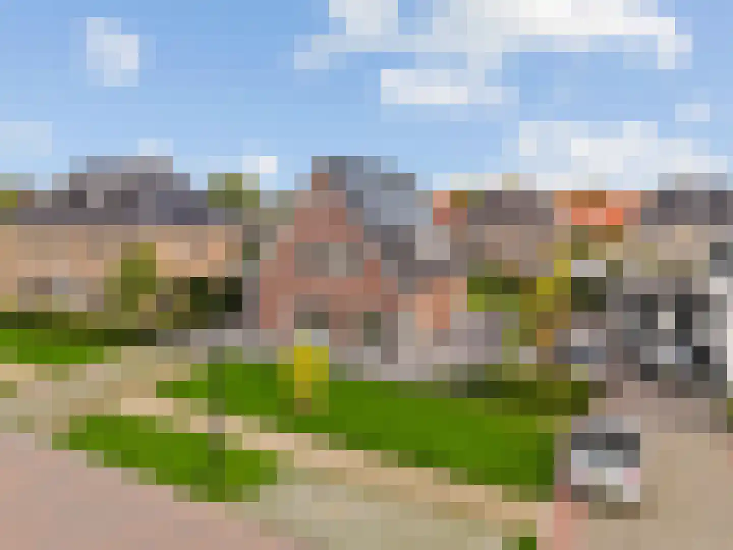 Bloesem 4 Nieuwveen thumbnail 45