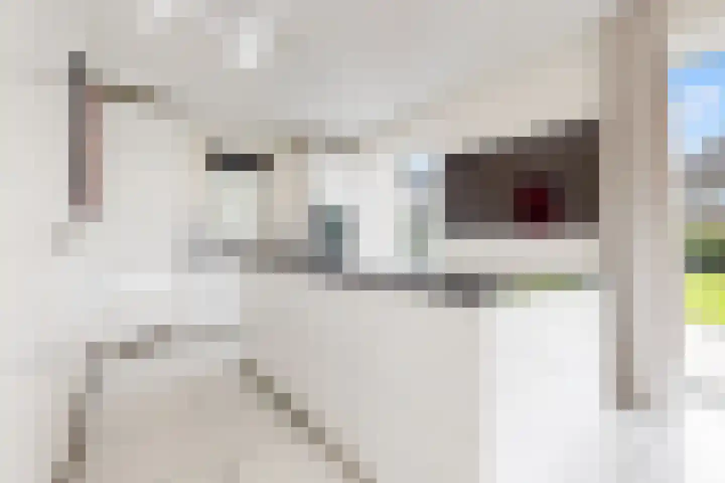 Bloesem 4 Nieuwveen thumbnail 5