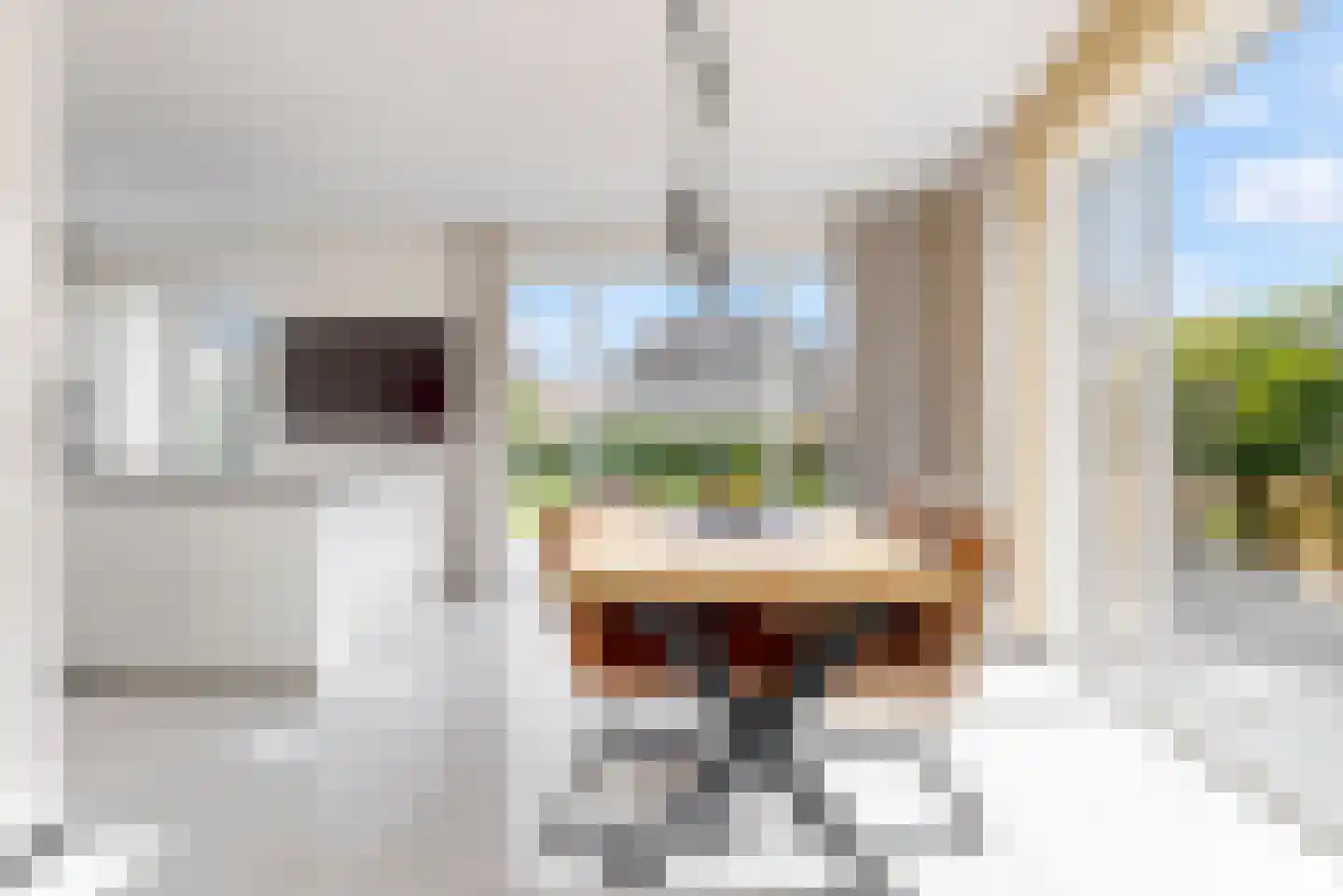 Bloesem 4 Nieuwveen thumbnail 9