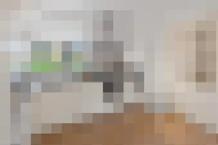 Bloesemberg 17 Roosendaal thumbnail 12