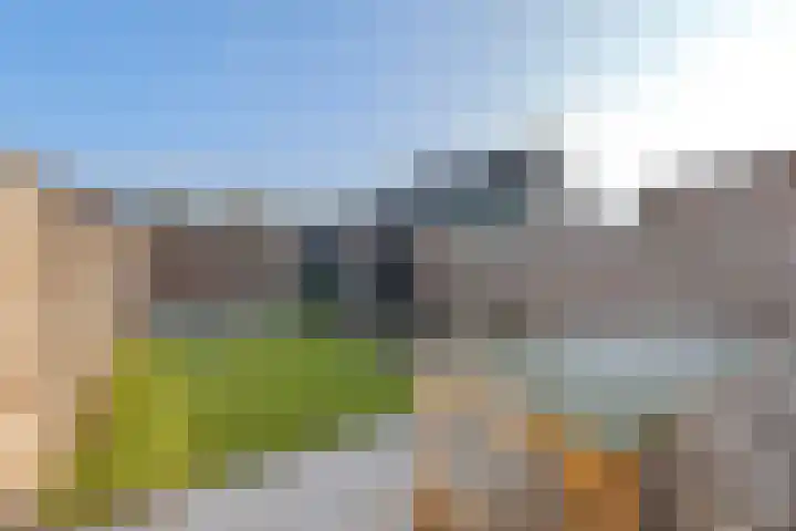 Bloesemberg 17 Roosendaal thumbnail 33