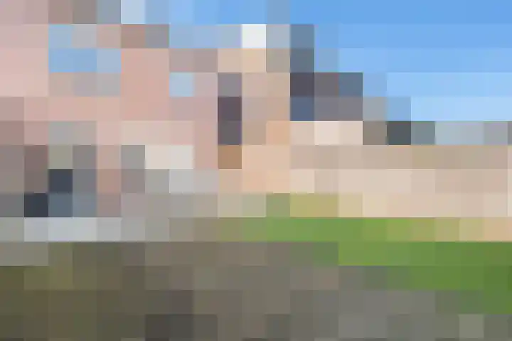 Bloesemberg 17 Roosendaal thumbnail 35