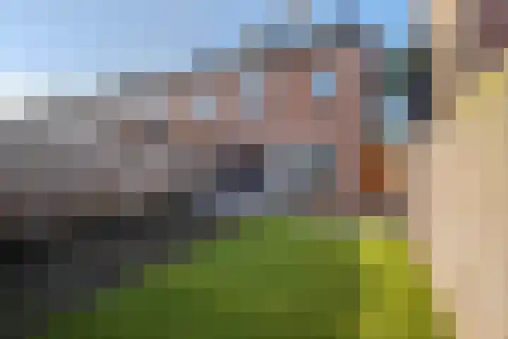 Bloesemberg 17 Roosendaal thumbnail 36