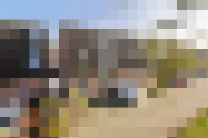 Bloesemberg 17 Roosendaal thumbnail 41