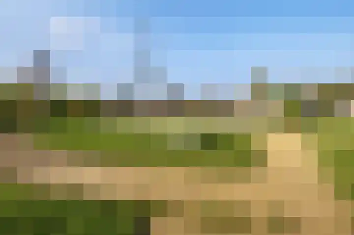 Bloesemberg 17 Roosendaal thumbnail 46