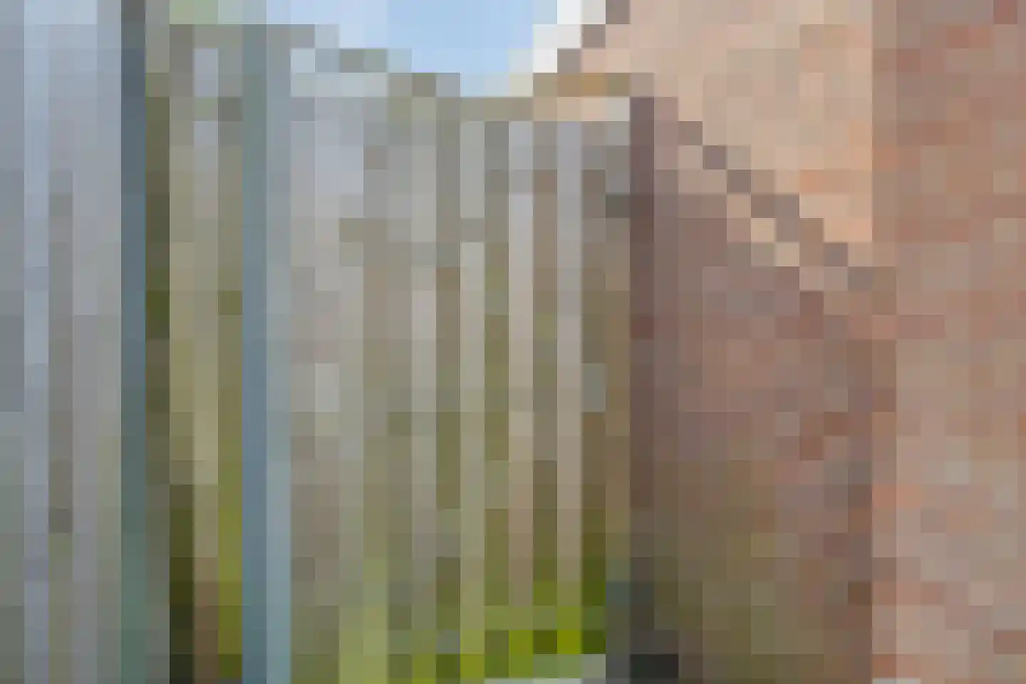 Bloesemberg 5 Roosendaal thumbnail 29