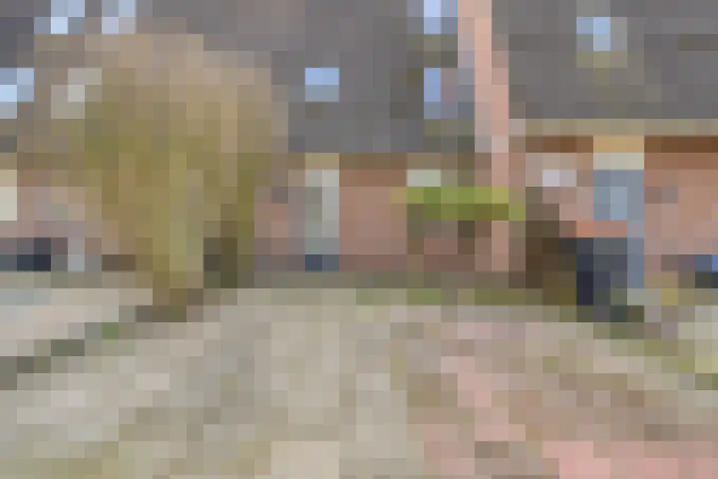 Bloesemberg 5 Roosendaal thumbnail 31