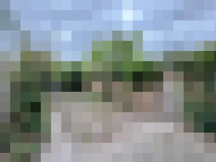 Bloesemberg 9 Roosendaal thumbnail 16