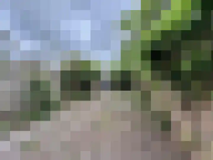 Bloesemberg 9 Roosendaal thumbnail 17