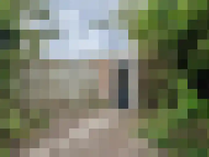 Bloesemberg 9 Roosendaal thumbnail 18
