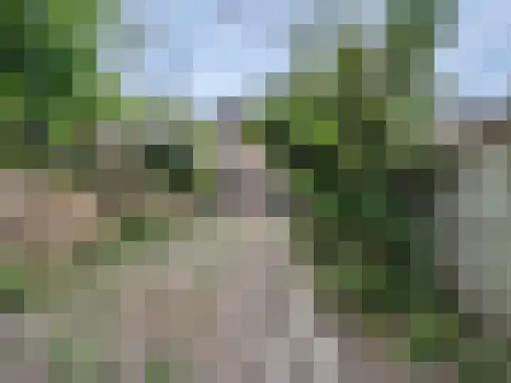 Bloesemberg 9 Roosendaal thumbnail 19