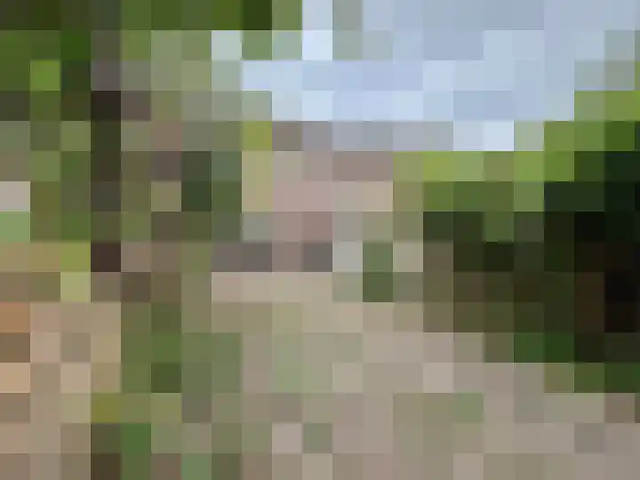 Bloesemberg 9 Roosendaal thumbnail 20
