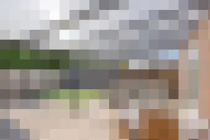 Bloesemgaard 10 Margraten thumbnail 27