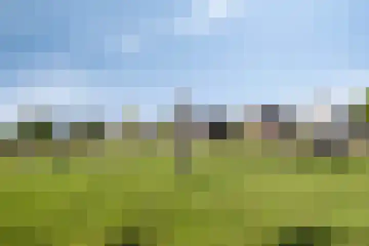 Bloesemgaard 10 Margraten thumbnail 32