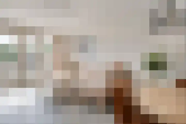 Bloesemgaard 10 Margraten thumbnail 5