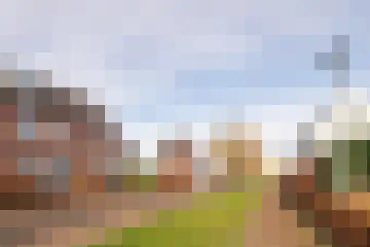 Bloesemgaard 4 Margraten thumbnail 25