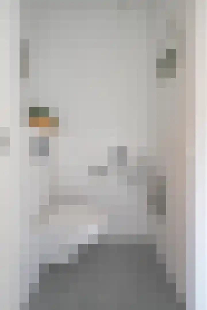 Bloesemgaard 4 Margraten thumbnail 8