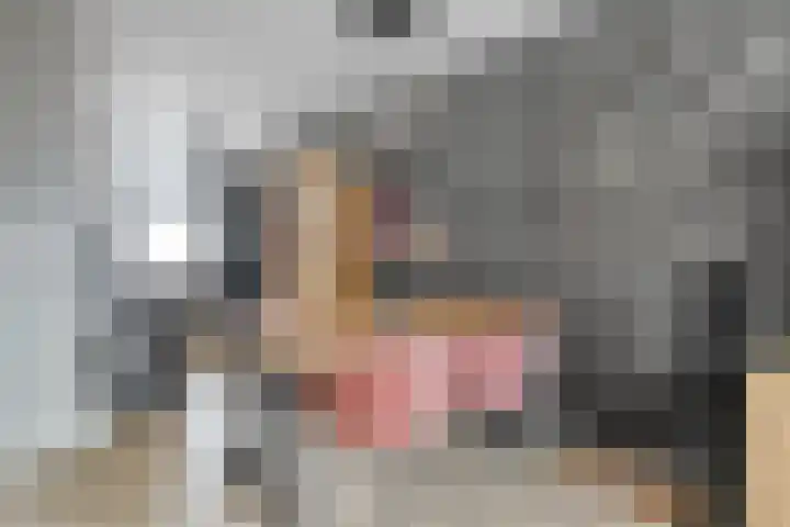 Bloesemhof 16 Strijen thumbnail 13