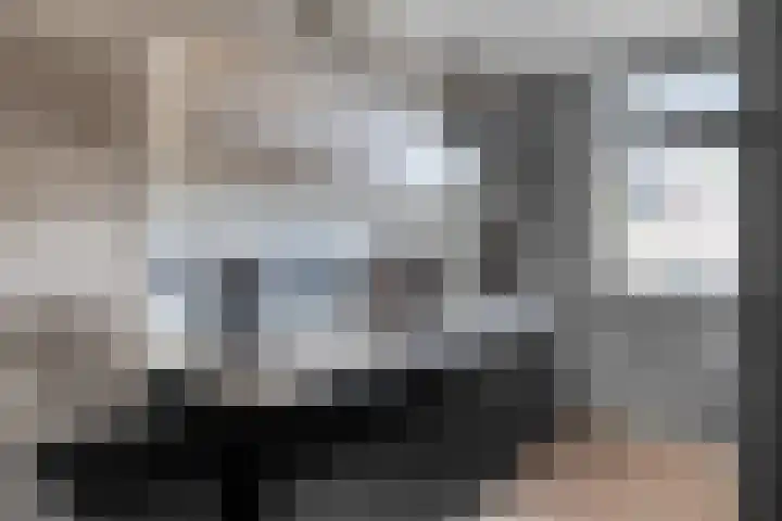 Bloesemhof 16 Strijen thumbnail 14