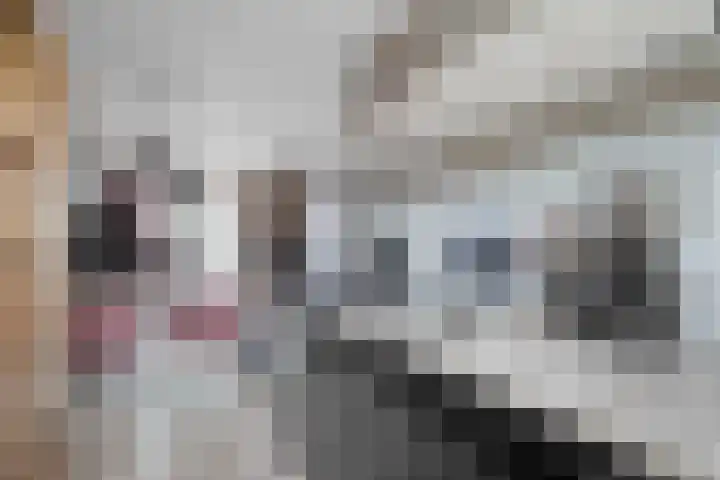 Bloesemhof 16 Strijen thumbnail 15