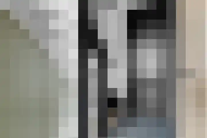 Bloesemhof 16 Strijen thumbnail 16
