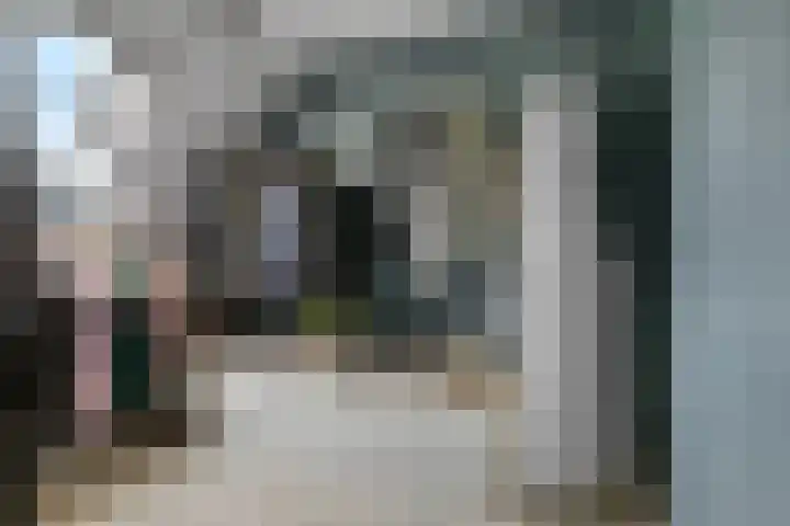 Bloesemhof 16 Strijen thumbnail 22