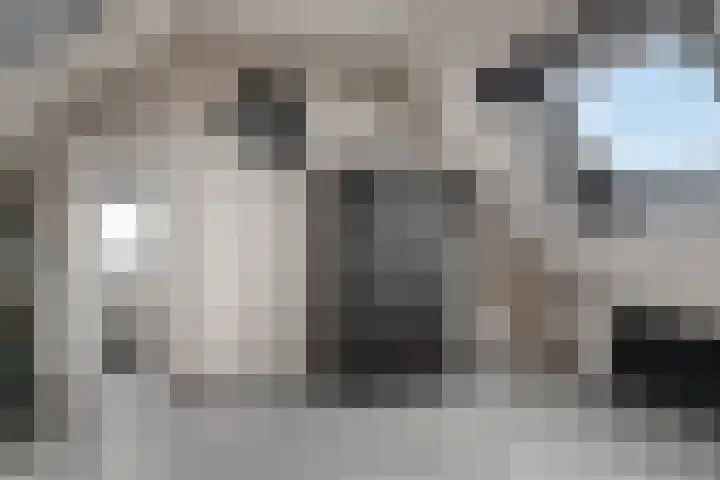 Bloesemhof 16 Strijen thumbnail 25