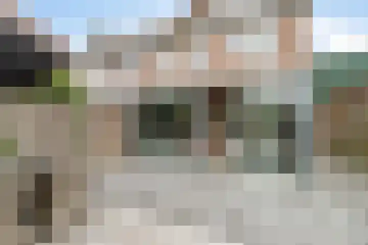 Bloesemhof 16 Strijen thumbnail 29
