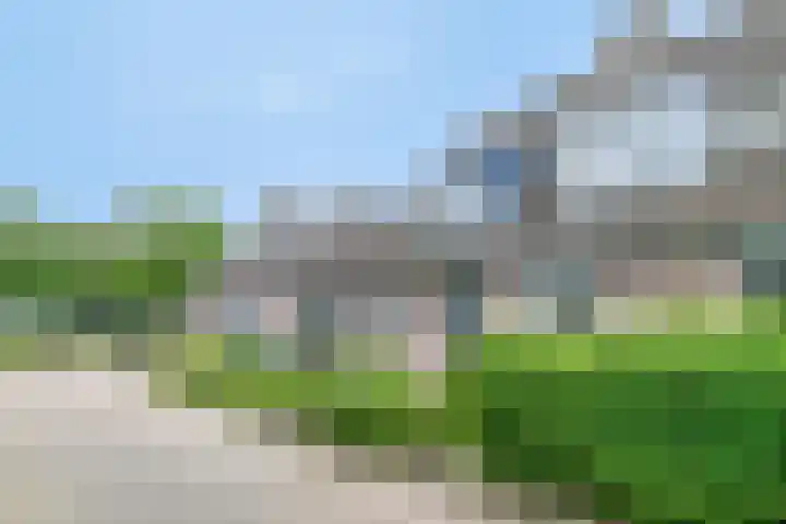 Bloesemhof 16 Strijen thumbnail 32
