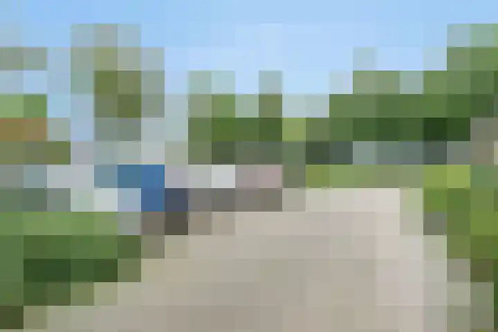 Bloesemhof 16 Strijen thumbnail 33