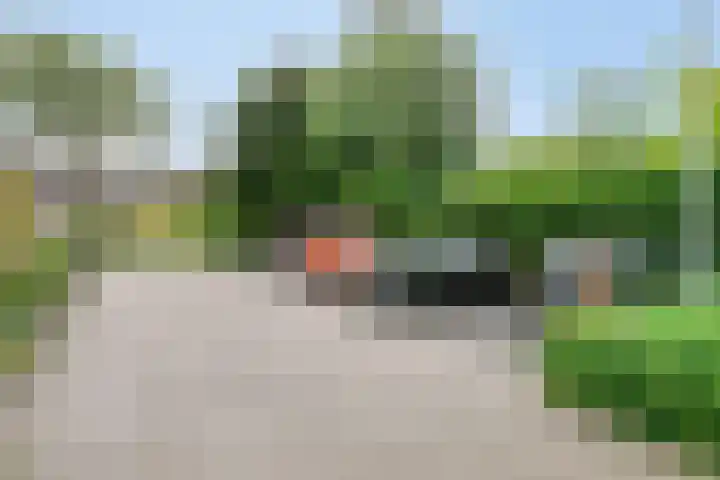 Bloesemhof 16 Strijen thumbnail 34
