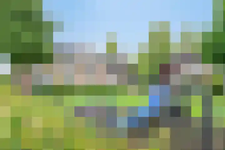 Bloesemhof 16 Strijen thumbnail 35