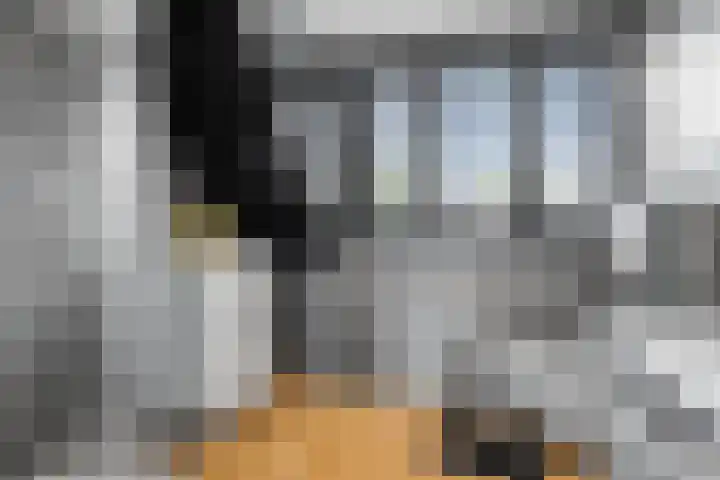 Bloesemhof 16 Strijen thumbnail 4