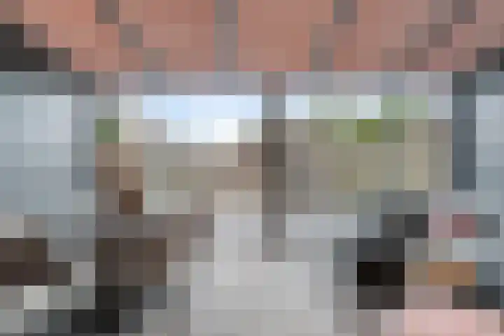 Bloesemhof 16 Strijen thumbnail 7