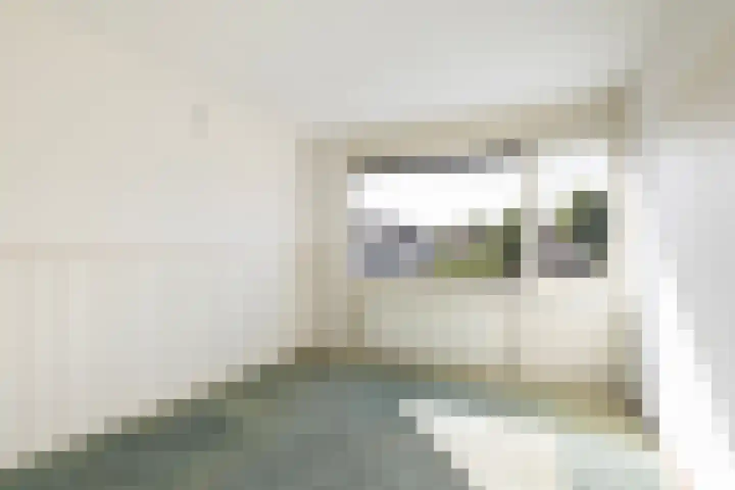 Bloesemlaan 21 Rozenburg thumbnail 23