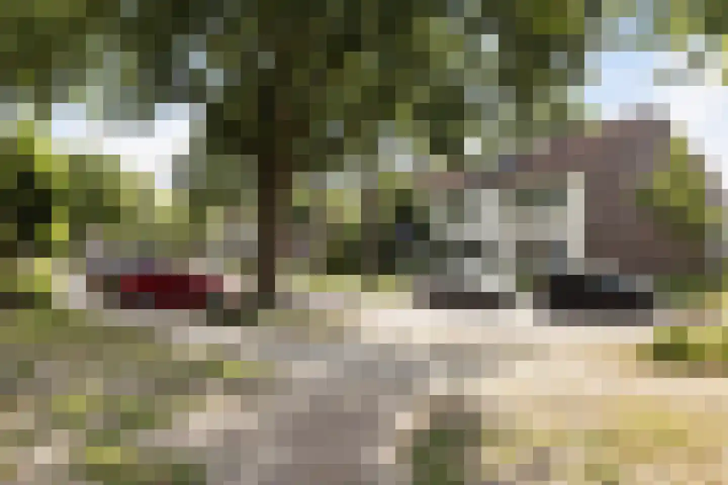 Bloesemlaan 21 Rozenburg thumbnail 37