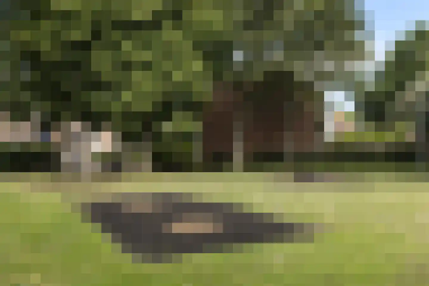 Bloesemlaan 21 Rozenburg thumbnail 41
