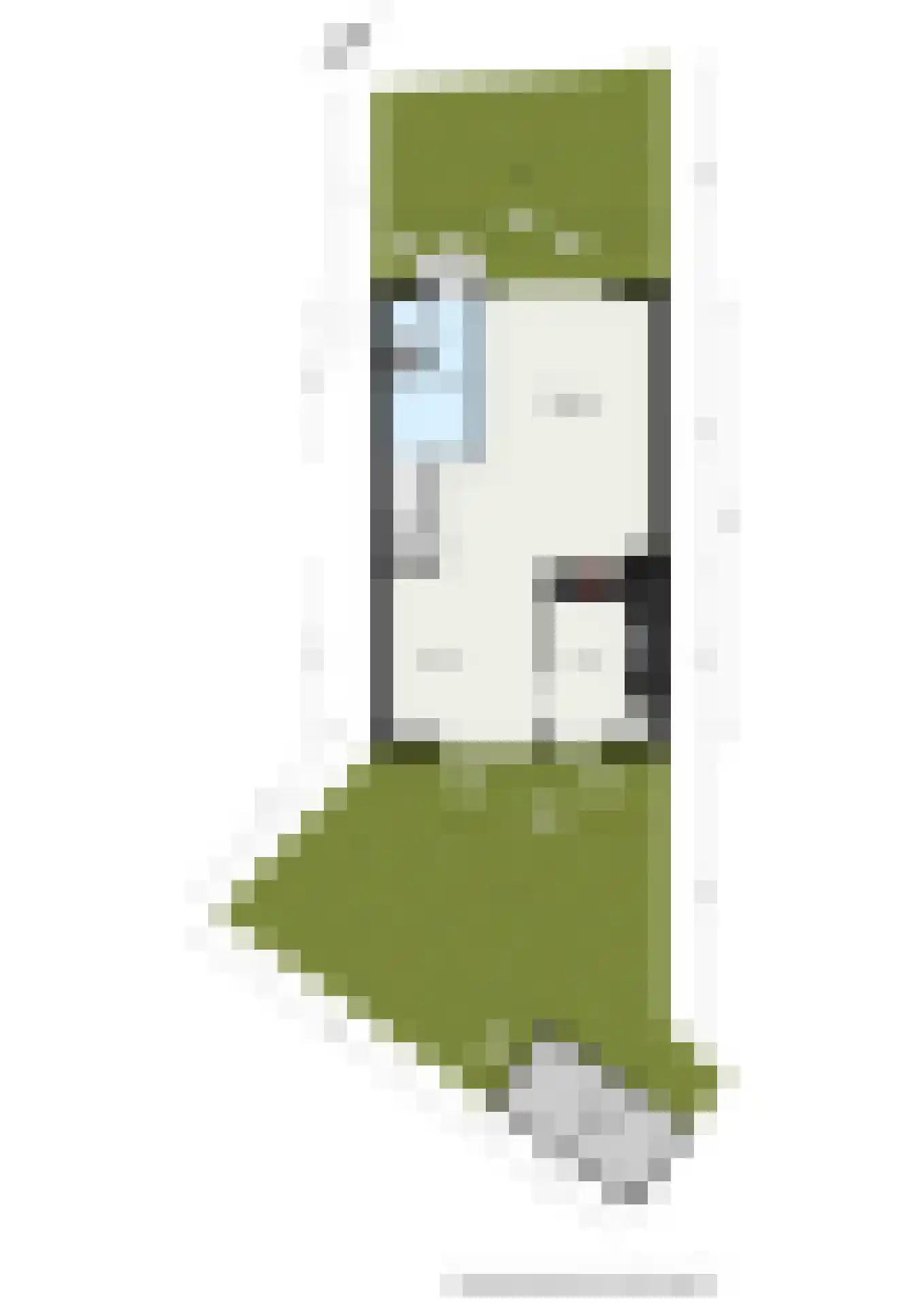 Bloesemlaan 21 Rozenburg thumbnail 43