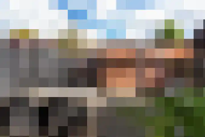 Bloesemlaan 29 Rozenburg thumbnail 19