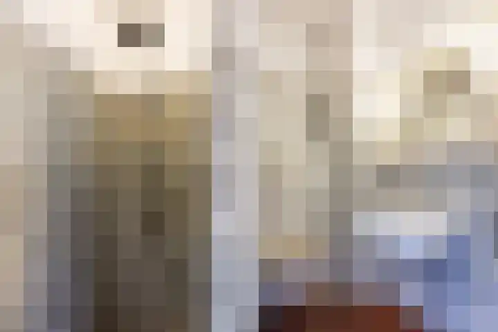 Bloesemlaan 29 Rozenburg thumbnail 34