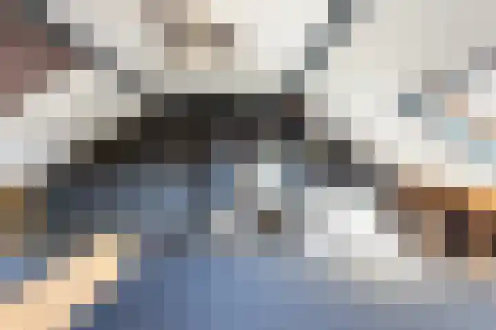 Bloesemlaan 29 Rozenburg thumbnail 36