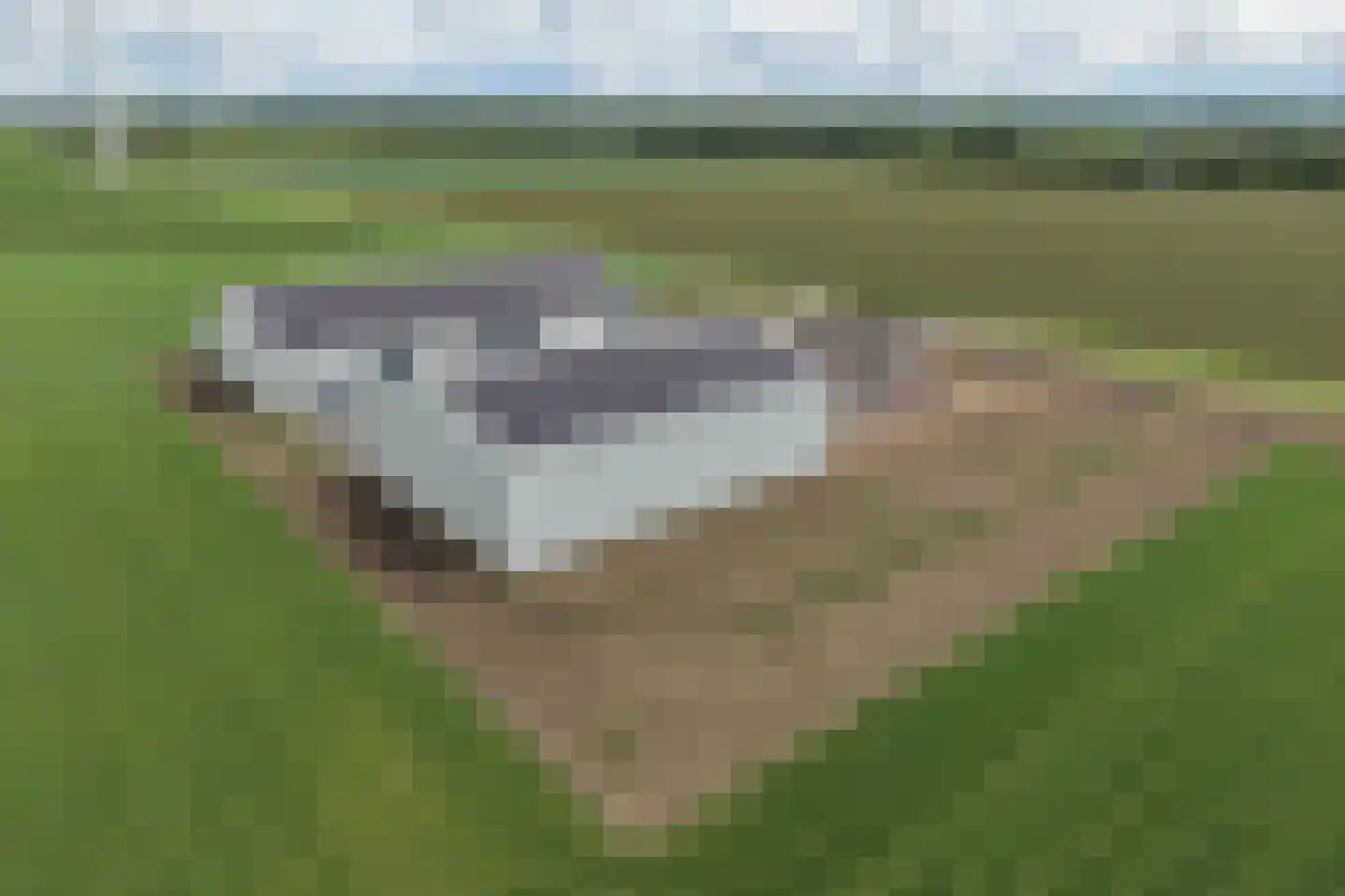 Bloesemlaan 34 Zeewolde thumbnail 28