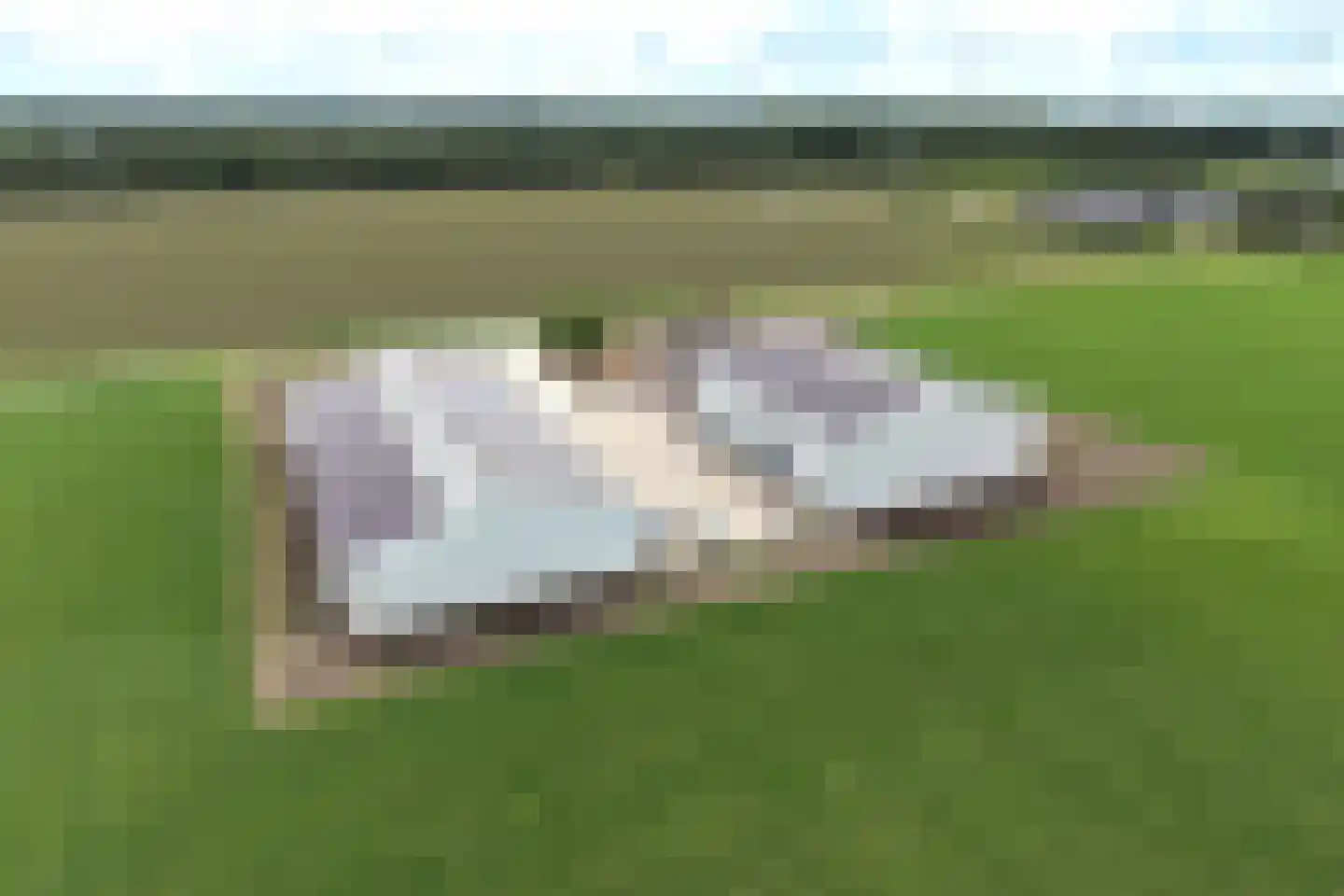 Bloesemlaan 34 Zeewolde thumbnail 30
