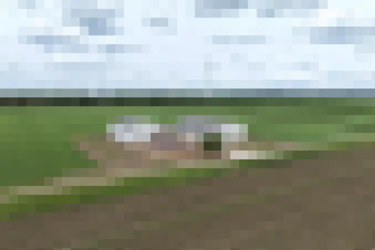 Bloesemlaan 34 Zeewolde thumbnail 37